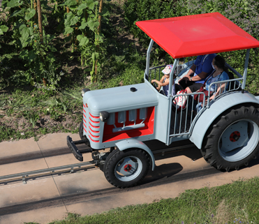 Tracteurs de la Ferme Cigoland Alsace